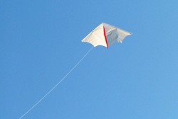 Delta Kite