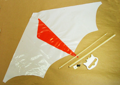 Delta Kite