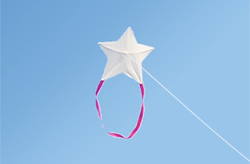 Star Kite